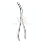 Asch Sept Straightening Forceps Heavy Pattern | VS Surgico