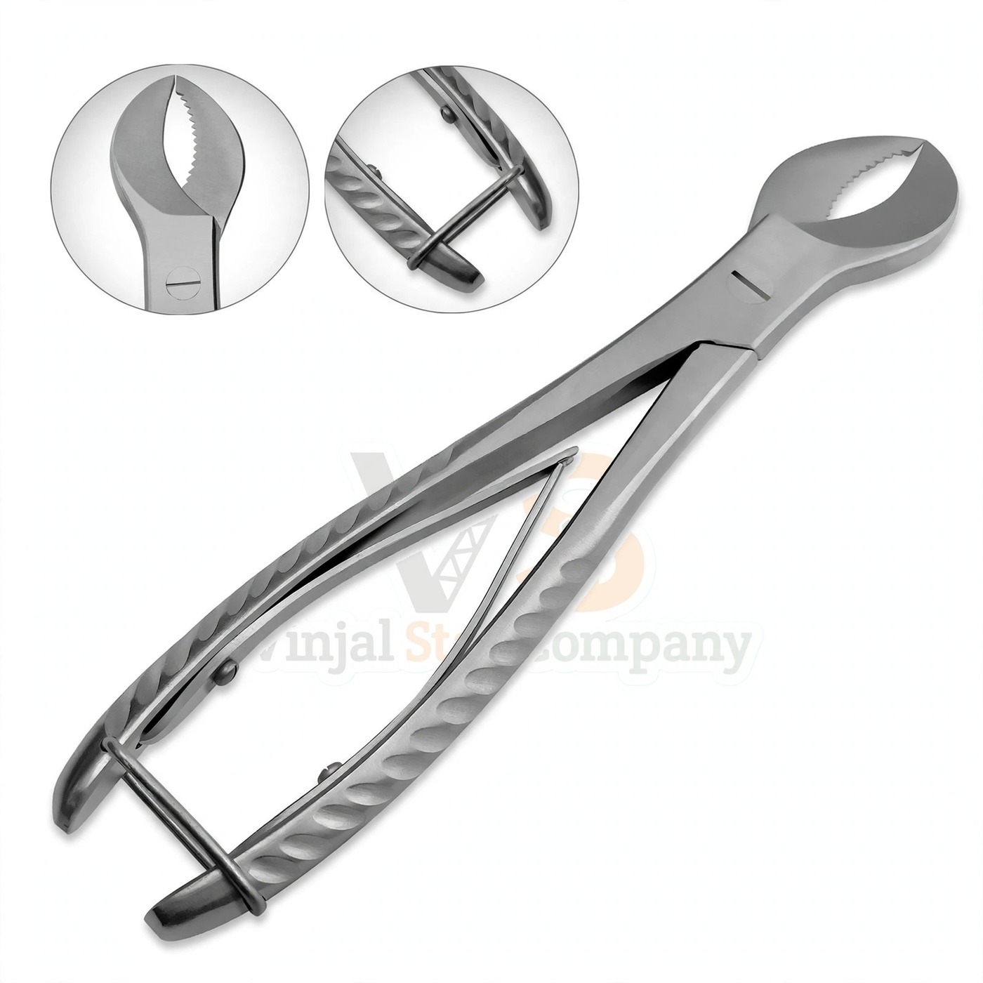 Vinjal Star - 206 - Vinjal Star Company product photo 12 Cow Horn Plaster Nipper Surgical Dental | Plaster Trimming | VS Surgico - Image 1