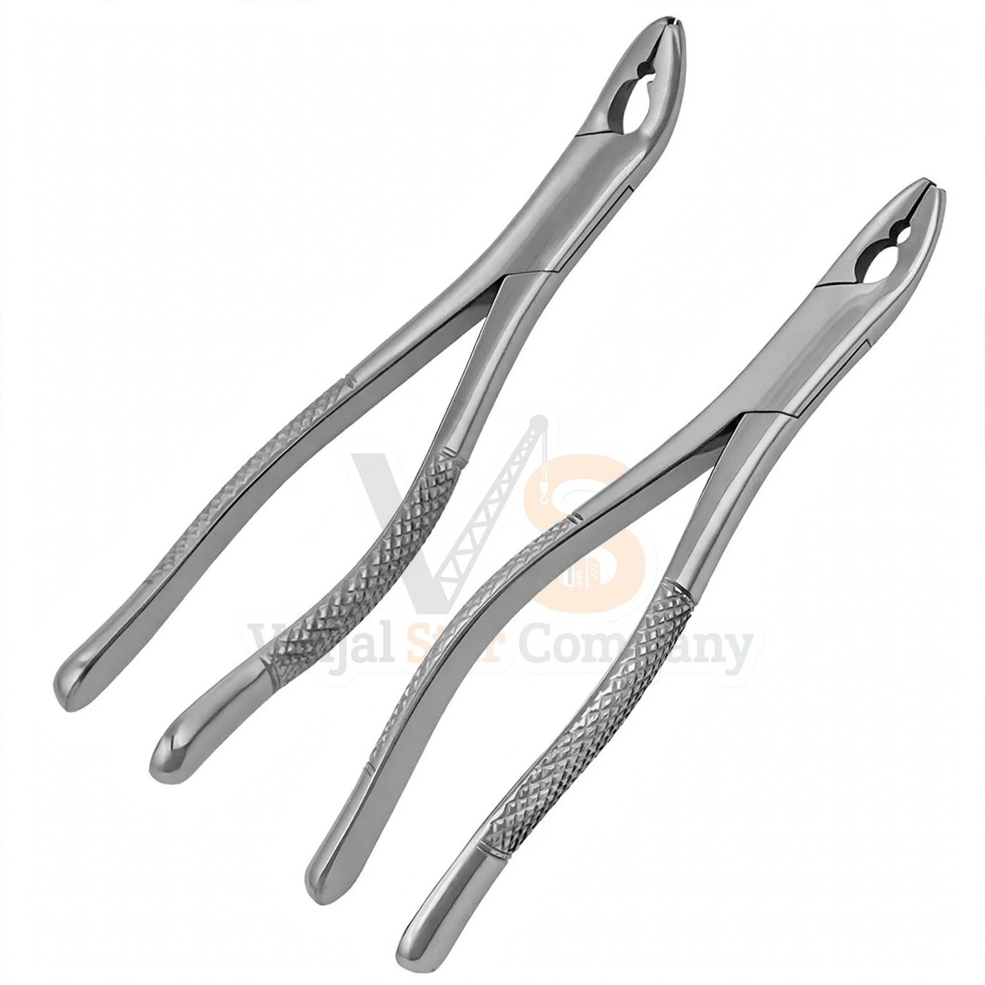 Vinjal Star - 581 - Vinjal Star Company product photo 2 Extracting Forceps 150as 151as | Dental Extracting Forceps | VS Surgico - Image 1