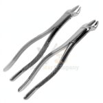 2 Extracting Forceps Set 53l 53r Upper Left Right Molars | Dental Extracting Forceps | VS Surgico