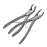 2 Universal Pedo Extracting Forceps 150 1 2s 151 1 2s | Dental Extracting Forceps | VS Surgico