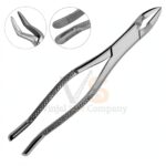 3 Dental Extracting Forceps 32 Dental | Dental Extracting Forceps | VS Surgico