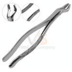 3 Dental Tooth Extracting Forceps 10s With Serrated Jaws | Dental Extracting Forceps | VS Surgico