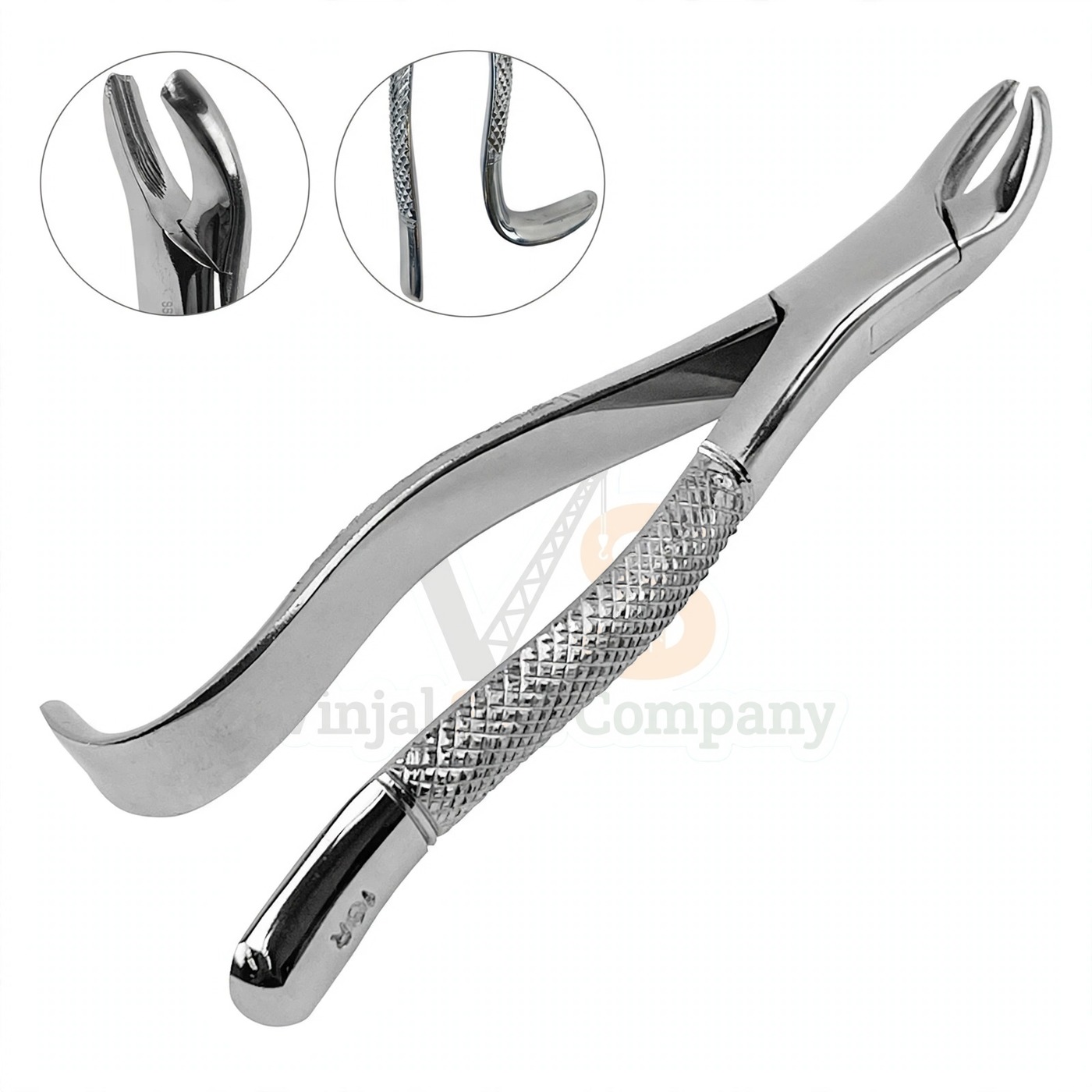 Vinjal Star - 592 - Vinjal Star Company product photo 3 Extracting Forceps 18r Dental | Dental Extracting Forceps | VS Surgico - Image 1