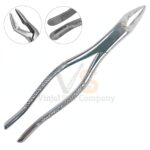 6 Dental Extracting Forceps No 24 Dental | Dental Extracting Forceps | VS Surgico