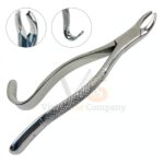 6 Dental Tooth Extracting Extraction Forceps 150sk Dental | Dental Extracting Forceps | VS Surgico