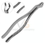 6 Extracting Forceps 203 Dental | Dental Extracting Forceps | VS Surgico