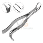 American Extracting Forceps No 17 | Dental Extracting Forceps | VS Surgico