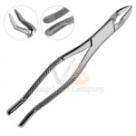 Dental Extracting Forceps 32a Molars Root | Dental Extracting Forceps | VS Surgico