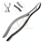 Dental Extracting Forceps No 24 Dental | Dental Extracting Forceps | VS Surgico