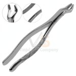 Extracting Forceps 150 Dental | Dental Extracting Forceps | VS Surgico
