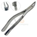 Extracting Forceps 103 Dental | Dental Extracting Forceps | VS Surgico