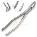 Extracting Forceps 151 P 2 Diamond Dusted | Dental Extracting Forceps | VS Surgico