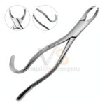 Extracting Forceps 1 With Gold Hollow Python Grip Handle | Dental Extracting Forceps | VS Surgico
