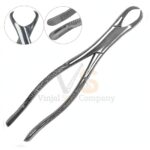 Extracting Forceps 23 Lower Molars With Green Color Coated Handle | Dental Extracting Forceps | VS Surgico