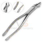 Extracting Forceps 90 Dental Veterinary Surgical | Dental Extracting Forceps | VS Surgico