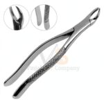 Extracting Forceps 99a Dental | Dental Extracting Forceps | VS Surgico
