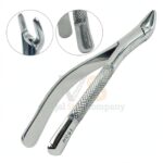 Extracting Forceps Dental 151 | Dental Extracting Forceps | VS Surgico