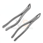 Extracting Forceps Dental 18l | Dental Extracting Forceps | VS Surgico