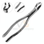 Extracting Forceps Dental 286 | Dental Extracting Forceps | VS Surgico