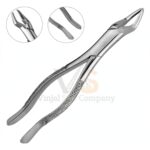 Extracting Forceps Dental 53l | Dental Extracting Forceps | VS Surgico