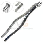 Extracting Forceps Dental 69 | Dental Extracting Forceps | VS Surgico