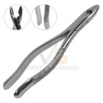 Extracting Forceps Dental Surgical 151as | Dental Extracting Forceps | VS Surgico