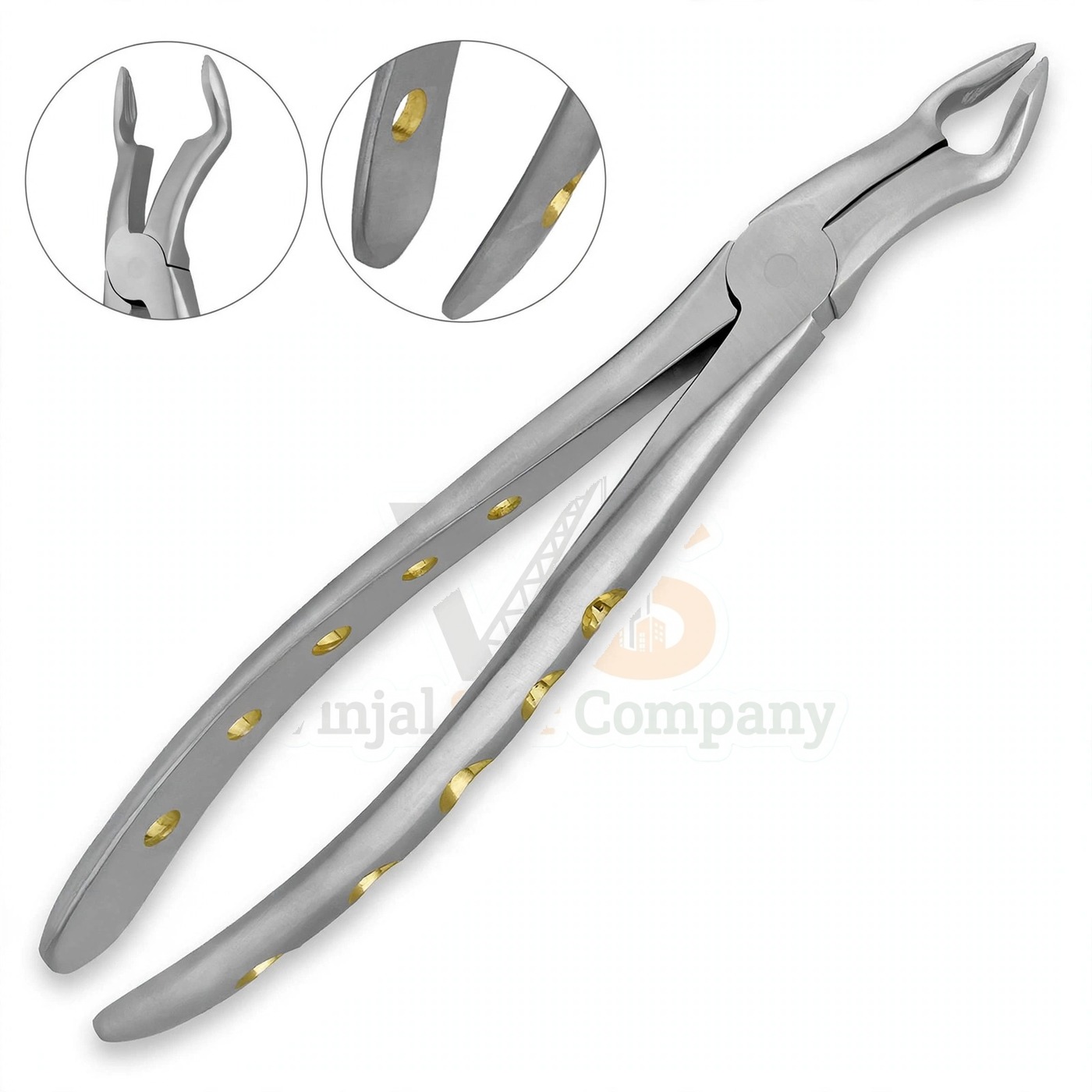 Vinjal Star - 802 - Vinjal Star Company product photo English Extracting Forceps 67A For Upper Third Molars | Tooth Extraction | VS Surgico - Image 1