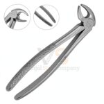 English Extracting Forceps MD3 | Tooth Extraction | VS Surgico