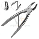 Pedo Extracting Forceps F Dental Surgical Instrument | Tooth Extraction | VS Surgico