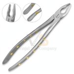 Roba Extracting Forceps 34M Upper Incisors | Tooth Extraction | VS Surgico