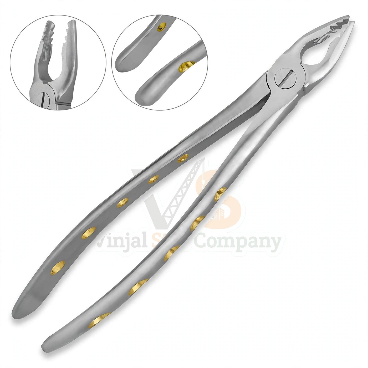 Vinjal Star - 821 - Vinjal Star Company product photo Roba Extracting Forceps 34M Upper Incisors | Tooth Extraction | VS Surgico - Image 1