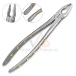 Roba Extracting Forceps 34N Upper Incisors And Eye Teeth | Tooth Extraction | VS Surgico