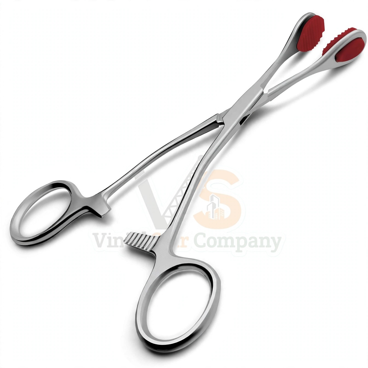 Vinjal Star - 921 - Vinjal Star Company product photo Young Tongue Forceps SHM0034 | Mouth Opening | VS Surgico - Image 1