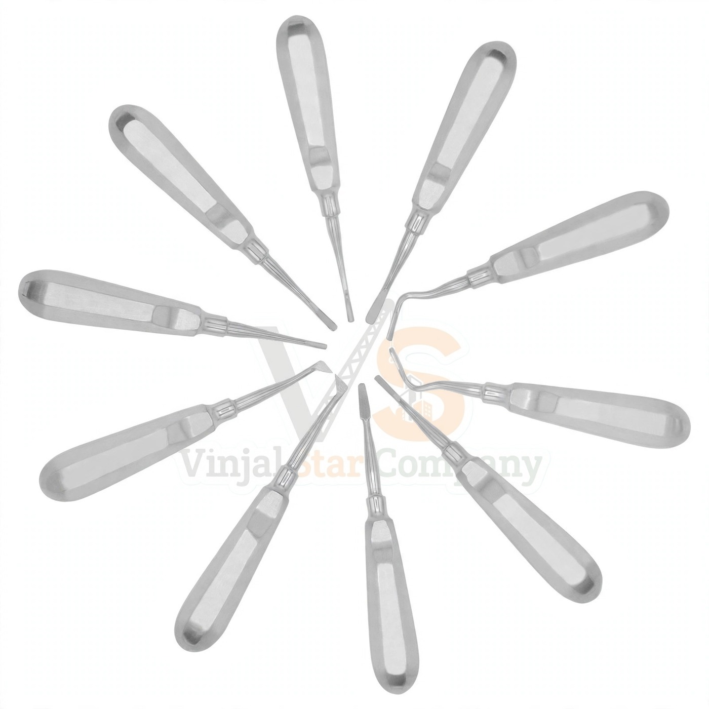 Vinjal Star - 080 - Vinjal Star Company product photo 10 Pcs Dental Elevators Set Oral Implant Extraction Surgical Instruments | Tooth Elevation | VS Surgico - Image 1