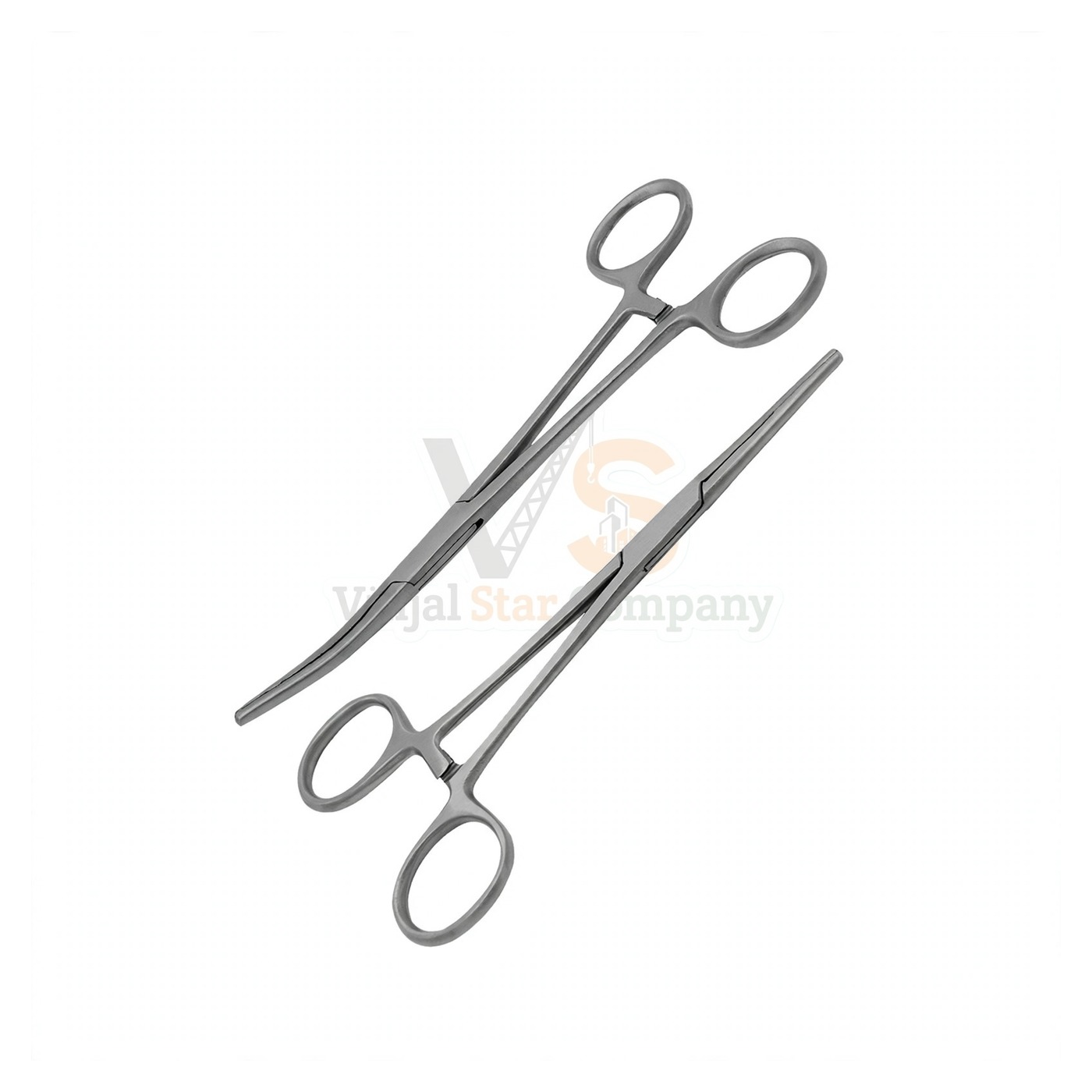 sm1747-1.jpg Carmalt Forceps | VS Surgico - Image 1
