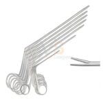 7 Alligator Ear Forceps Set | VS Surgico