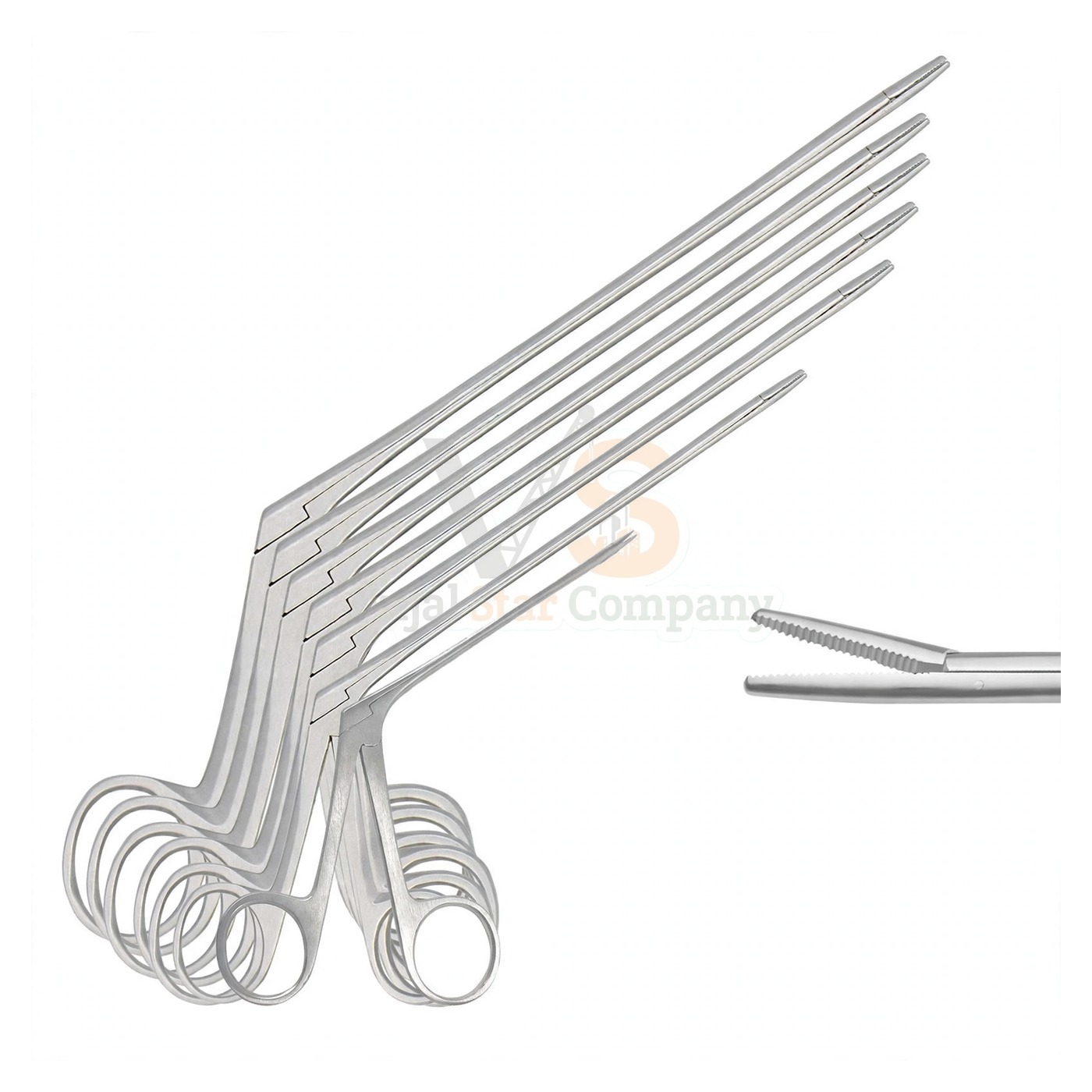 sm5233-1.jpg 7 Alligator Ear Forceps Set | VS Surgico - Image 1