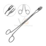 4 Prongs Davis Sterilizer Forceps Without Lock | VS Surgico